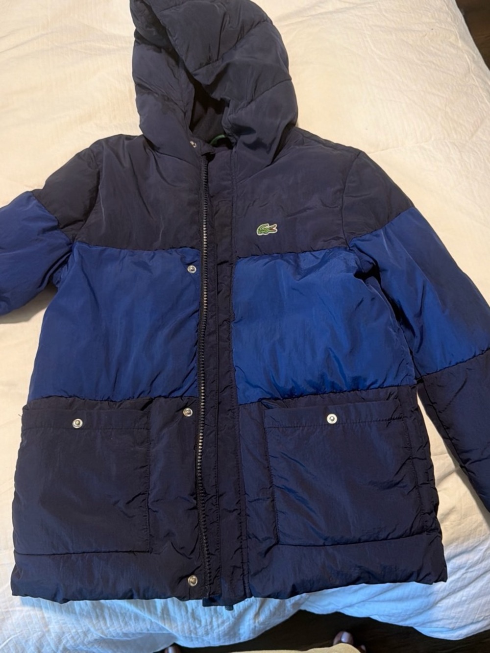 Lacoste Kids Navy & Royal Blue Hooded Colorblock Puffer